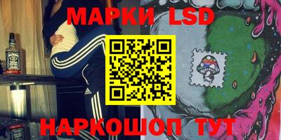 шишки Аргун