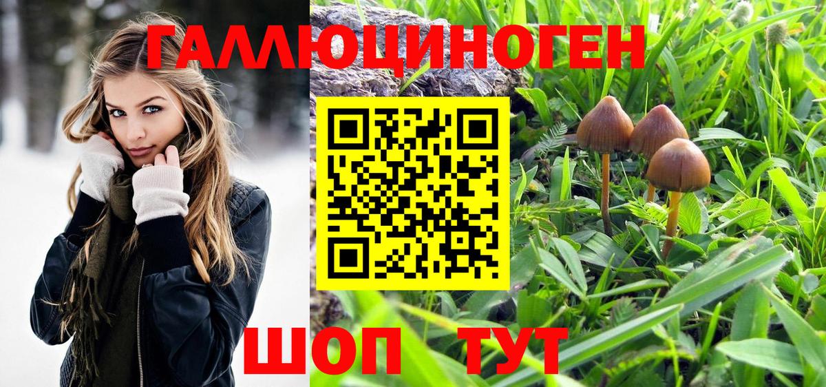Галлюциногенные грибы мицелий Видное